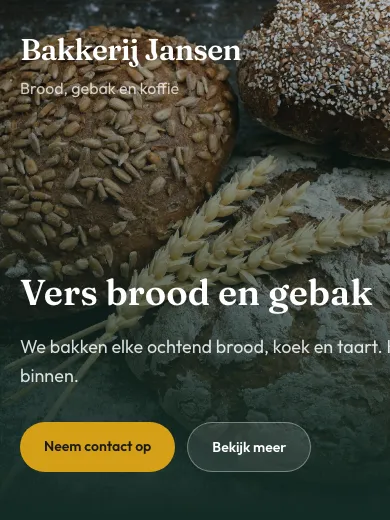 Voorbeeld look Klassiek